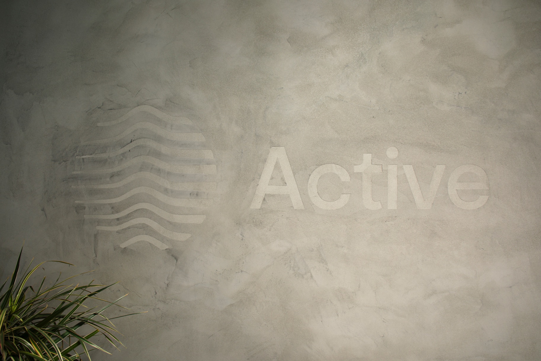 Active Brand Office Wall