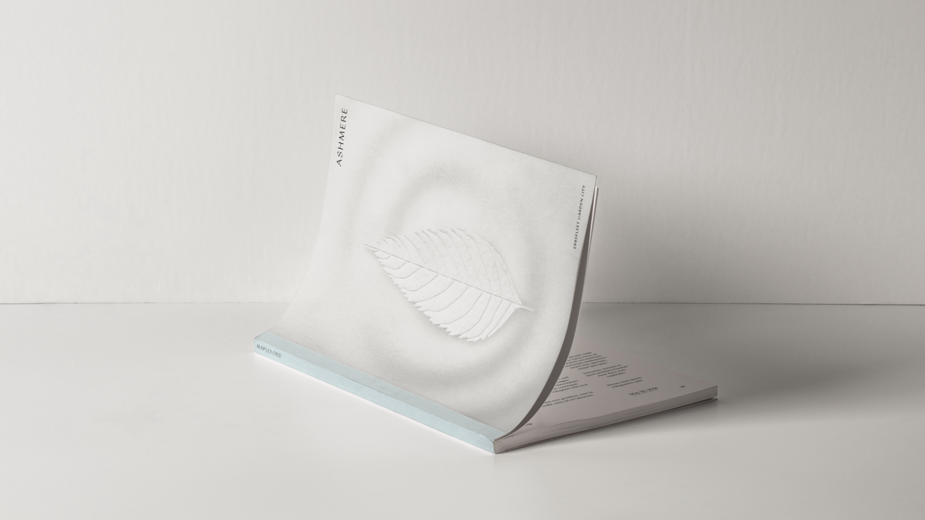 Ashmere brochure and cover