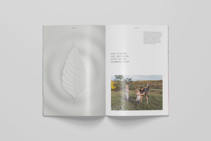 Ashmere garden brochure spread
