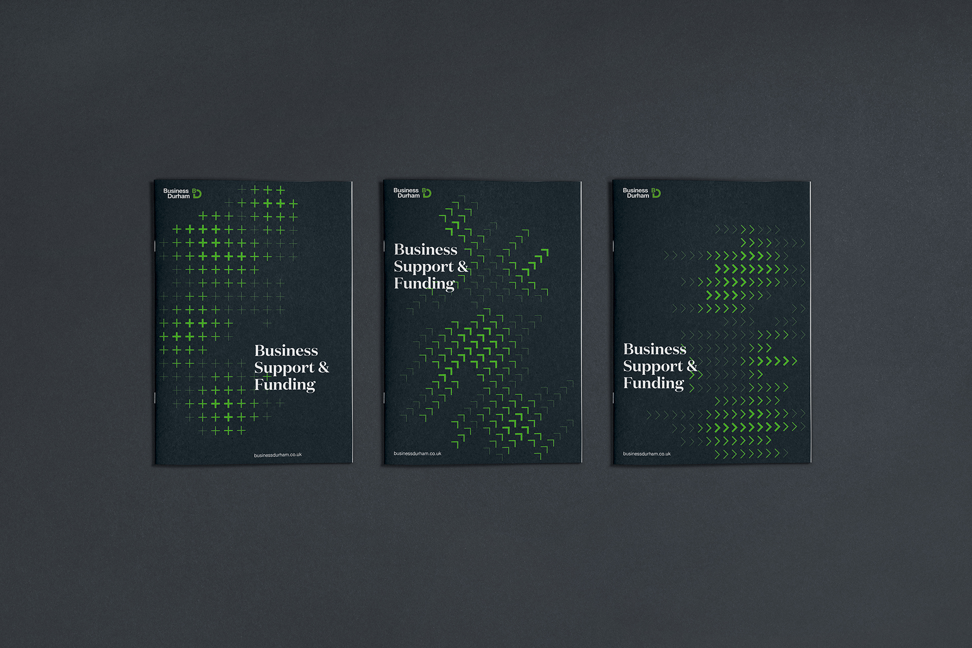 Business Durham Brochures