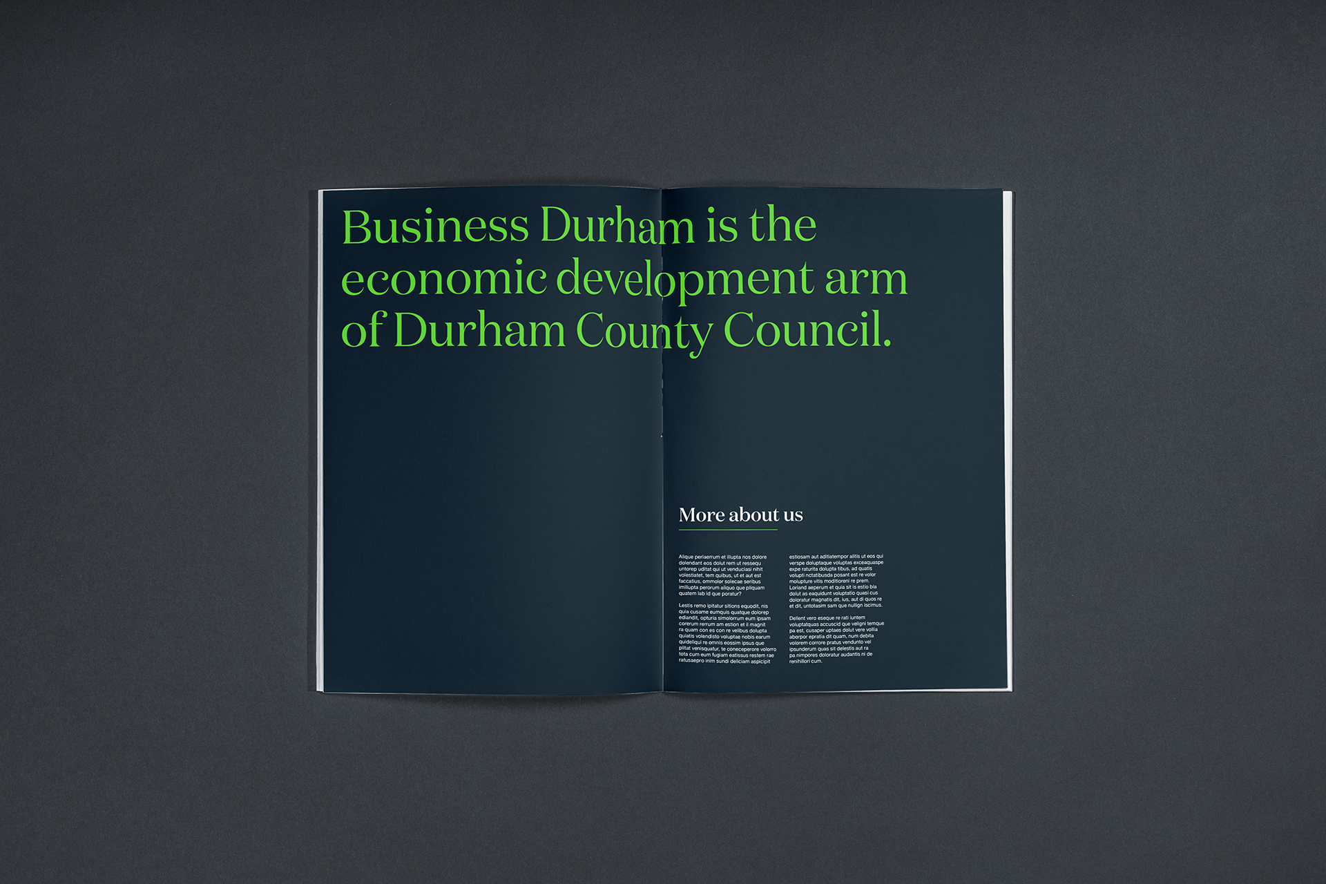 Brochure Spread Development