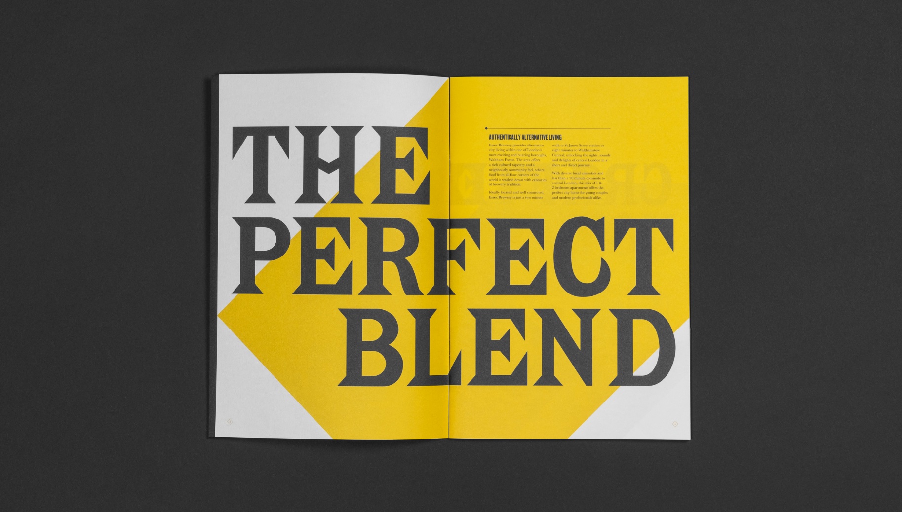 Essex Brewery Brochure Spread