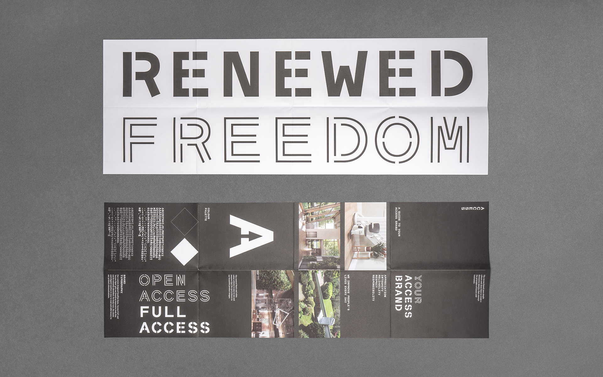 Access - Marketing campaign literature