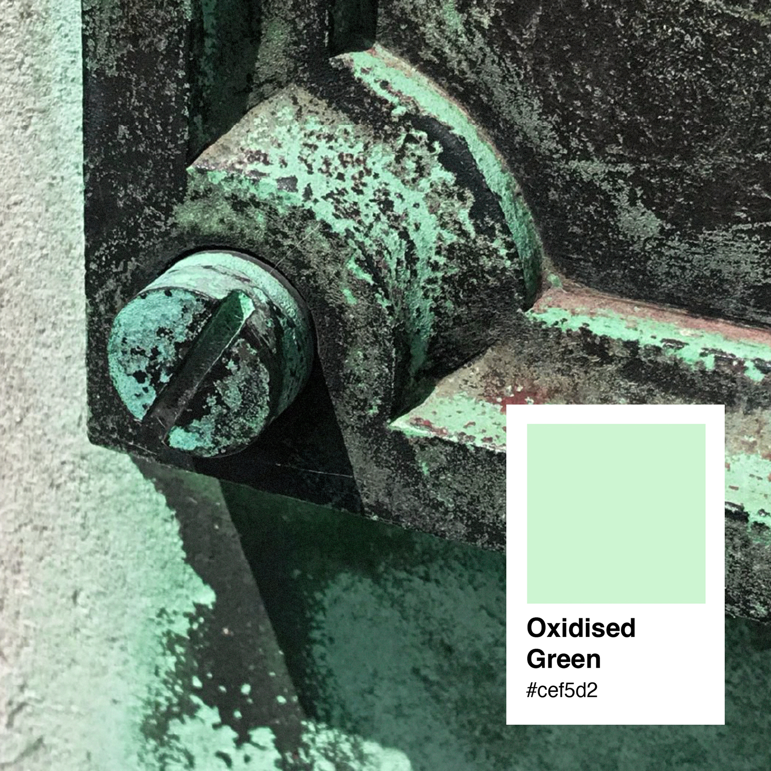 Colour palette – Freddie's Flowers