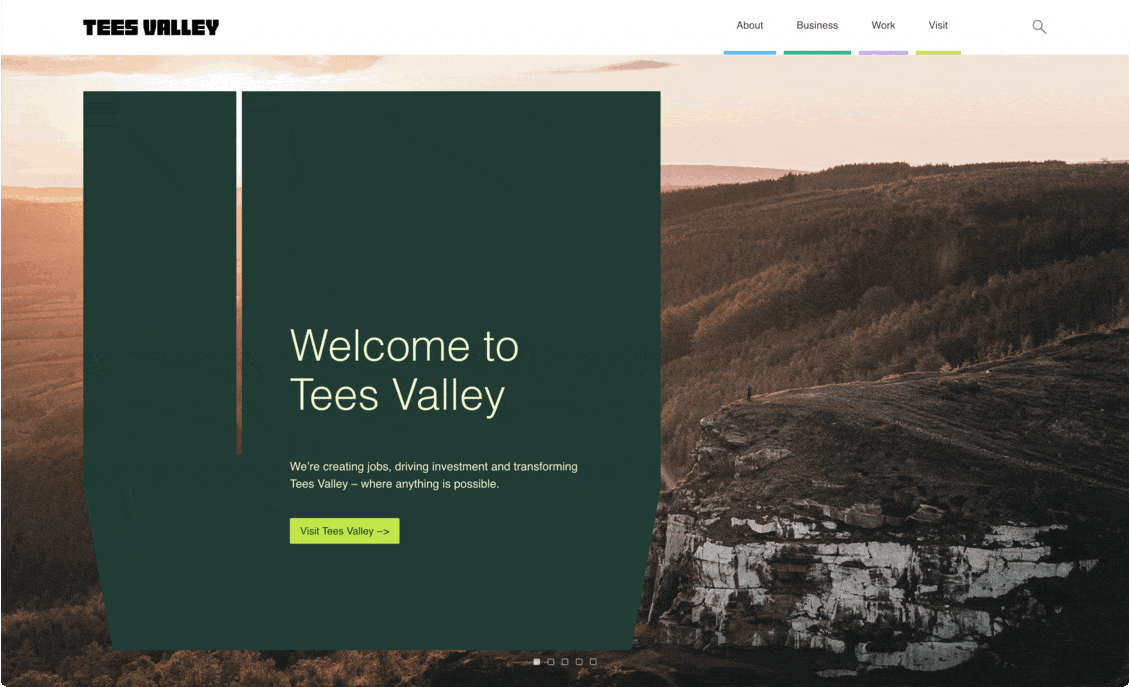 Tees Valley website showcase.